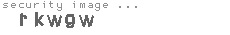 security image