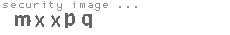security image