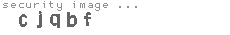 security image