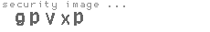 security image