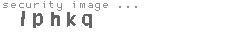 security image