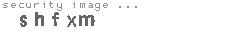 security image