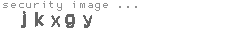 security image