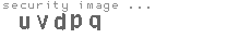 security image