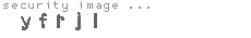 security image