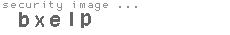 security image