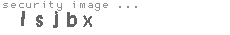 security image