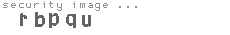 security image