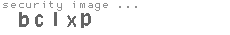 security image