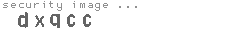 security image
