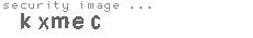 security image