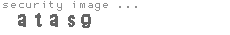 security image