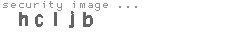 security image