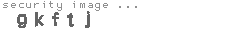 security image