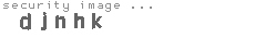 security image