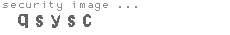 security image