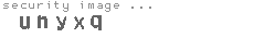 security image