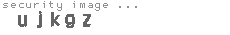 security image