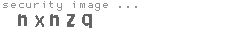 security image