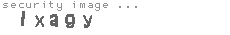 security image