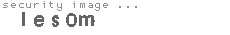 security image